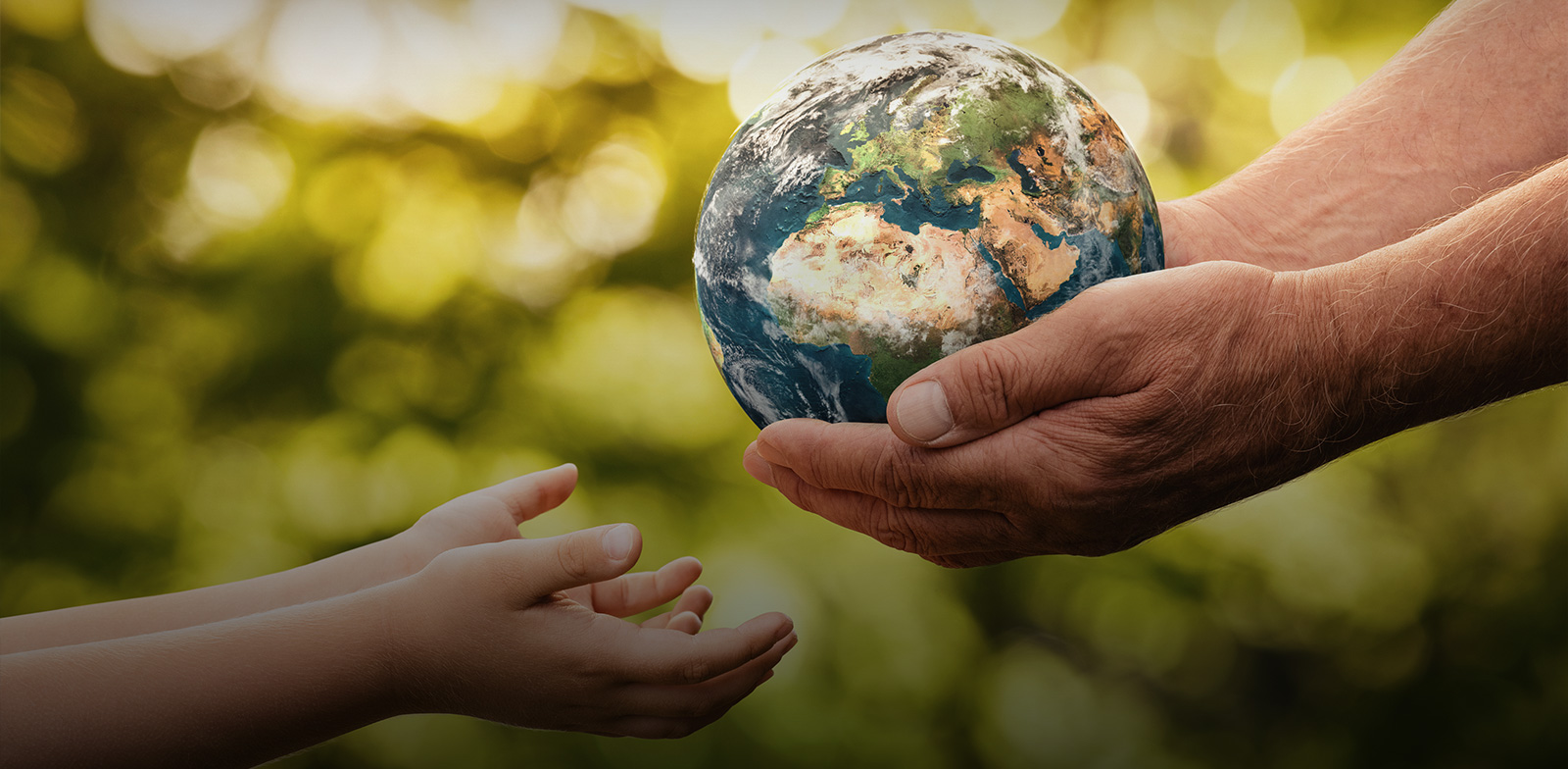 Ajudando o planeta a respirar