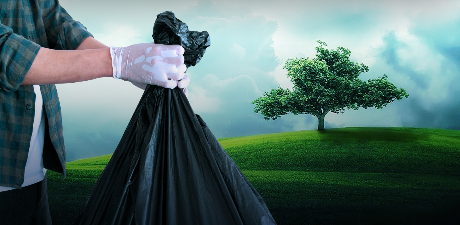 Ajudando o planeta a respirar